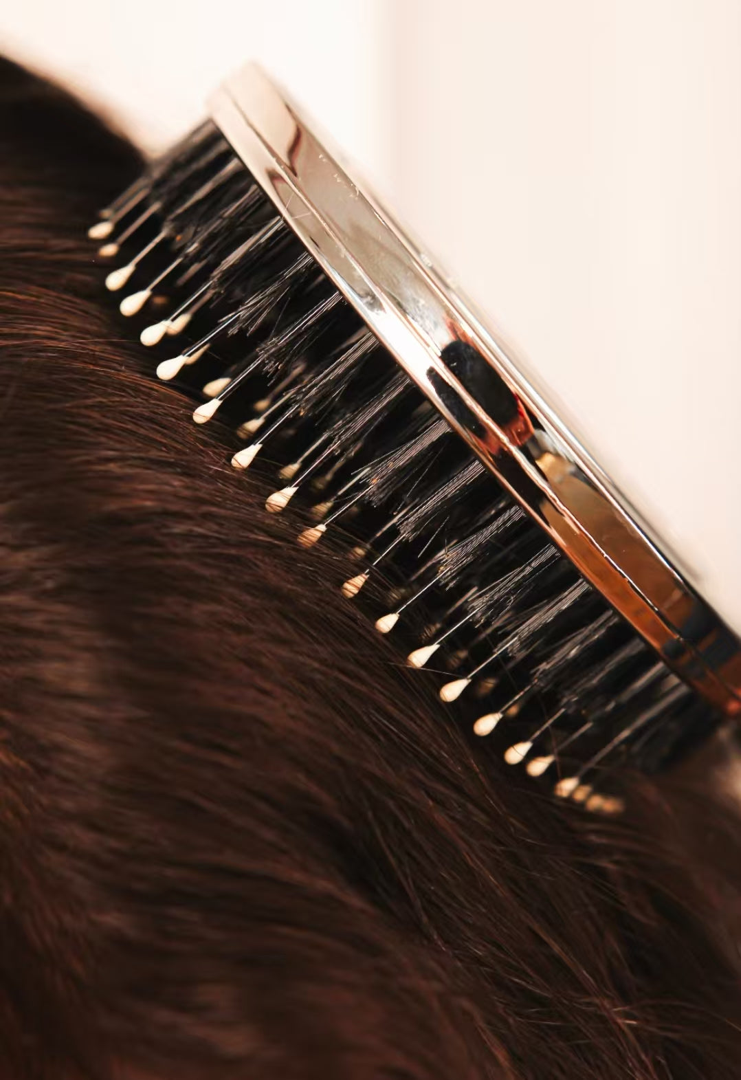 What Has Bristles Other Than a Brush