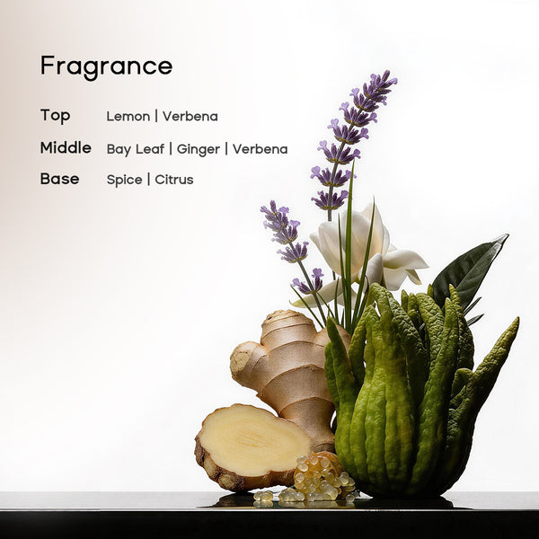 Halovida Hair Thickening Shampoo - Halovida