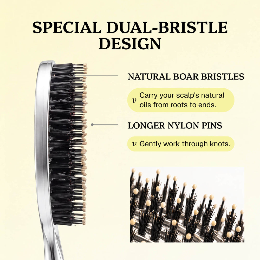 Halovida Bristle Hair Brush - Regular